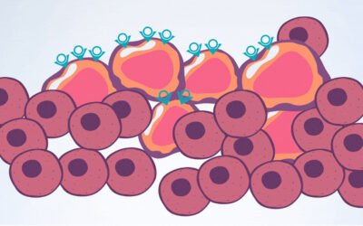 MUHC launches phase 2 radioligand therapy trial